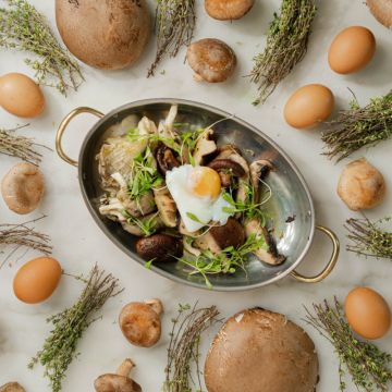 PLATO Catering & Eventos - Sintra - Camareros y ayudantes de eventos