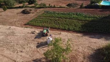 Gardening - Lawncare
