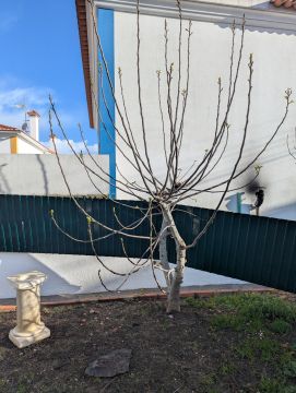 Serralharia e Portões