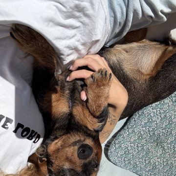 Mia - Cascais - Cuidar tus mascotas