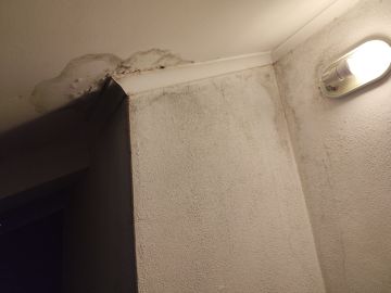 Stucco Application