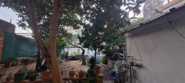 Tree Trimmer