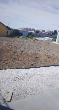 Estrela - Vila Nova de Gaia - Genealogy