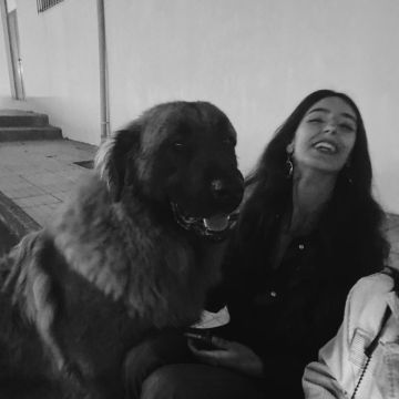 Ana Rita Vasconcelos - Coimbra - Hundeausführung