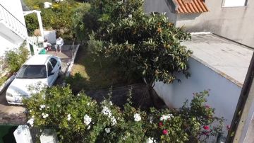 Lawncare