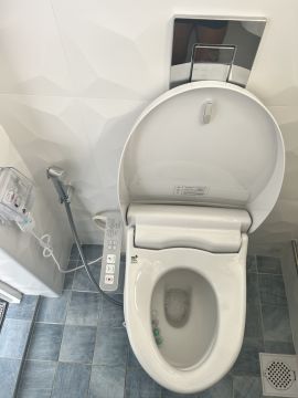 Toilet Repair Service