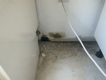 Dryer Vent Professional
