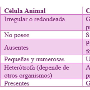 Soluciones Académicas Online - London - Glass Blocks