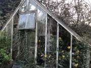 Greenhouse Specialist - Home Improvements