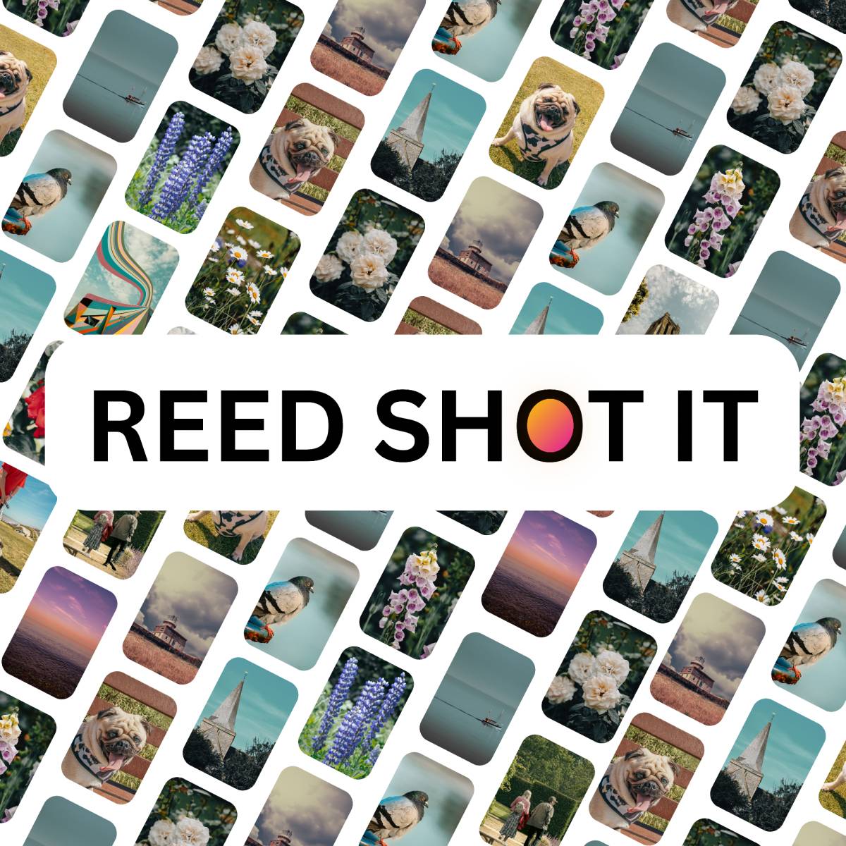 Reed Shot It - Eastbourne - Real Estate Photography