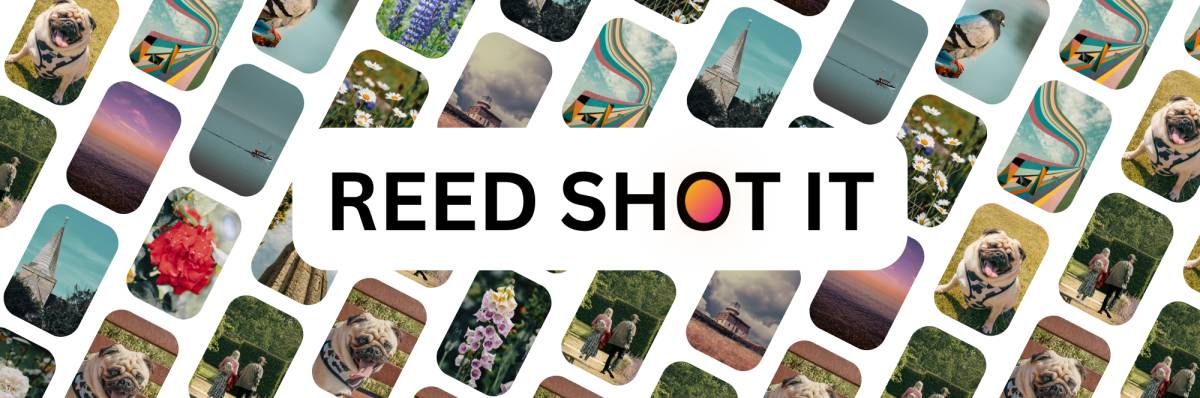 Reed Shot It - Eastbourne - Newborn Portrait Photography