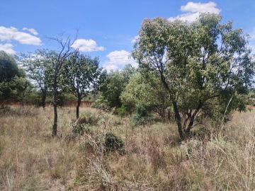 Land Clearance